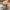KiETLA: Sunglasses 4-6 years RoZZ - Sand Stripe