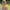 KiETLA: Sunglasses 4-6 years RoZZ - Sand Stripe