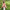 KiETLA: Sunglasses 4-6 years RoZZ - Sand Stripe