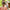 KiETLA: Sunglasses 4-6 years RoZZ - Green Leo