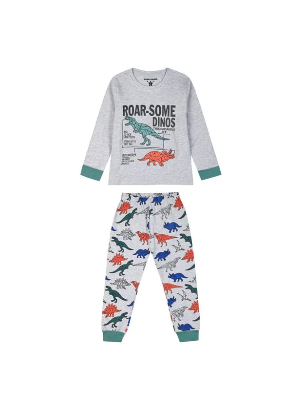 Παιδικές πιτζάμες για αγόρια με γκρι μπλούζα και τύπωμα δεινοσαύρων με τη φράση 'Roar-some Dinos', συνδυασμένες με γκρι παντελόνι με πολύχρωμα μοτίβα δεινοσαύρων.